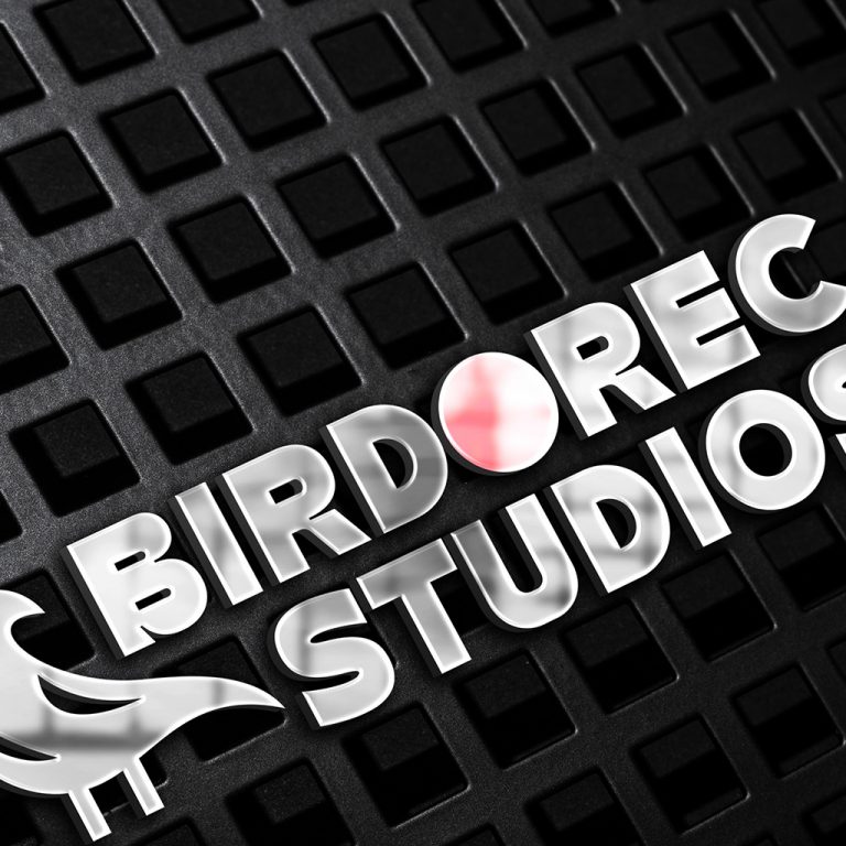 Birdrec Studios